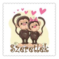 Szemüveg és mobil-törlőkendő szerelmes majmok névvel szöveggel is rendelhető