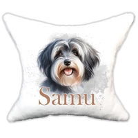 Plüss párna kutyás-névvel is rendelhető Havanese