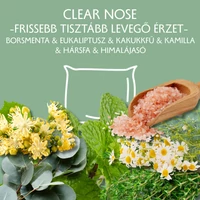 Clear Nose-tiszta levegő betét