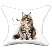 Plüss párna cica Maine coon