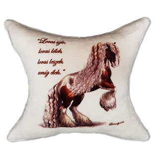 Plüss párna Lovas