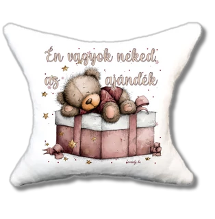 Macika karácsonyi ajándékdobozon cuki plüsspárna, 