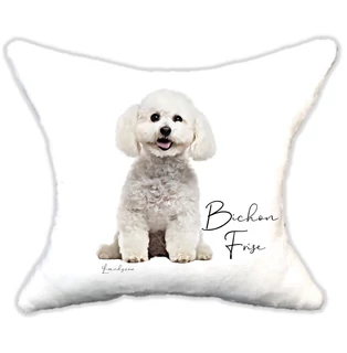 Plüss párna  kutyás Bichon frise