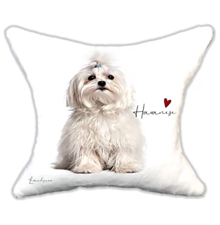 Plüss párna  Havanese