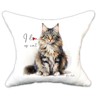 Plüss párna cica Maine coon