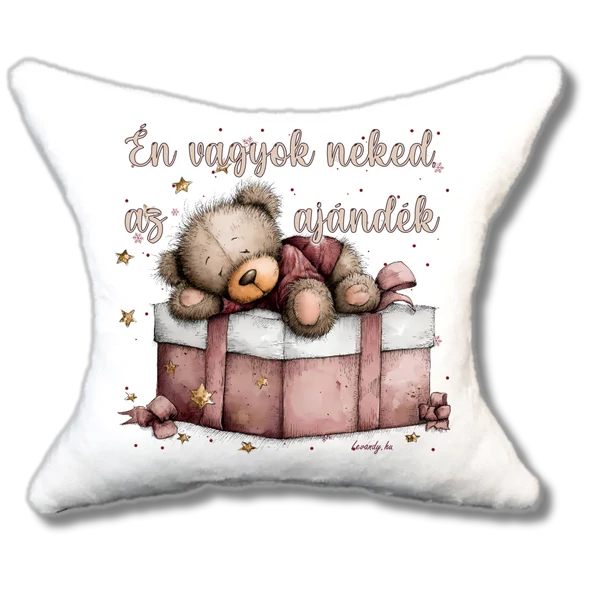 Macika karácsonyi ajándékdobozon cuki plüsspárna, 