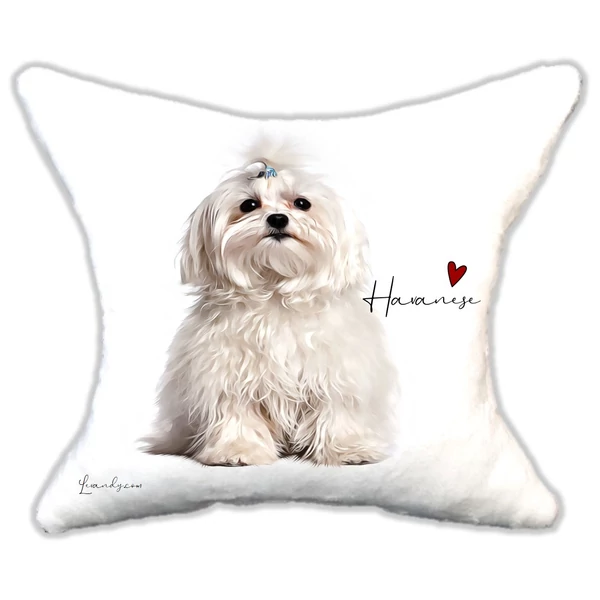Plüss párna  Havanese
