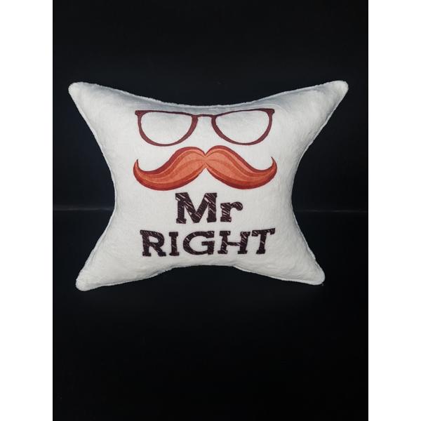 Plüss párna MR.